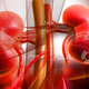 Image for article titled New type of transplant could save patients from a life of immunosuppresants
